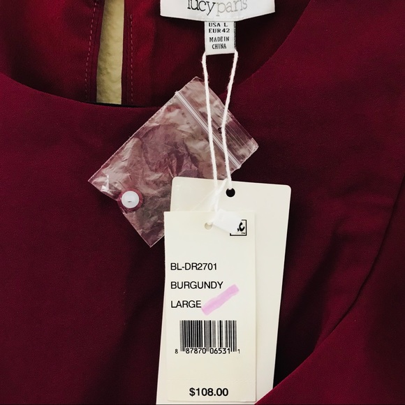 ✅ NWT Lucy Paris Dress - Picture 6 of 8